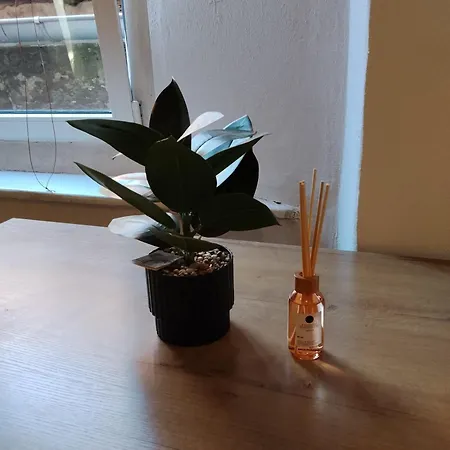 Apartment Blr